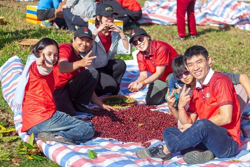 Experience hand on harvest coffee beans. 4
