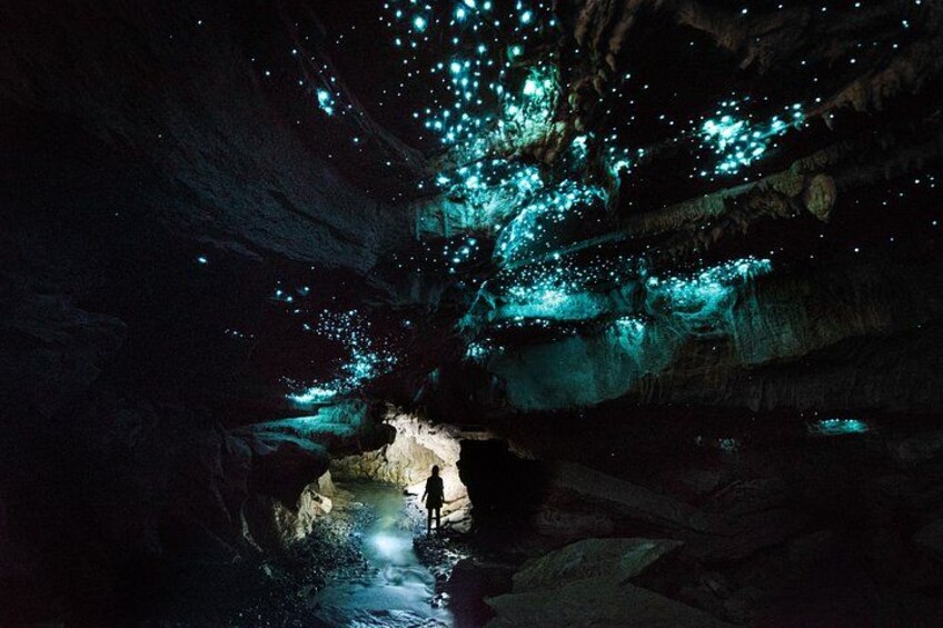 A cave with bioluminescent organisms and a person standing in the center. 2