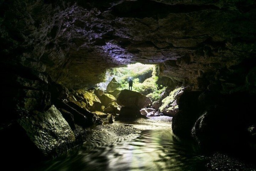 Waitomo’s Hidden Gem: Off the Beaten Track Glowworm Cave Tour 3
