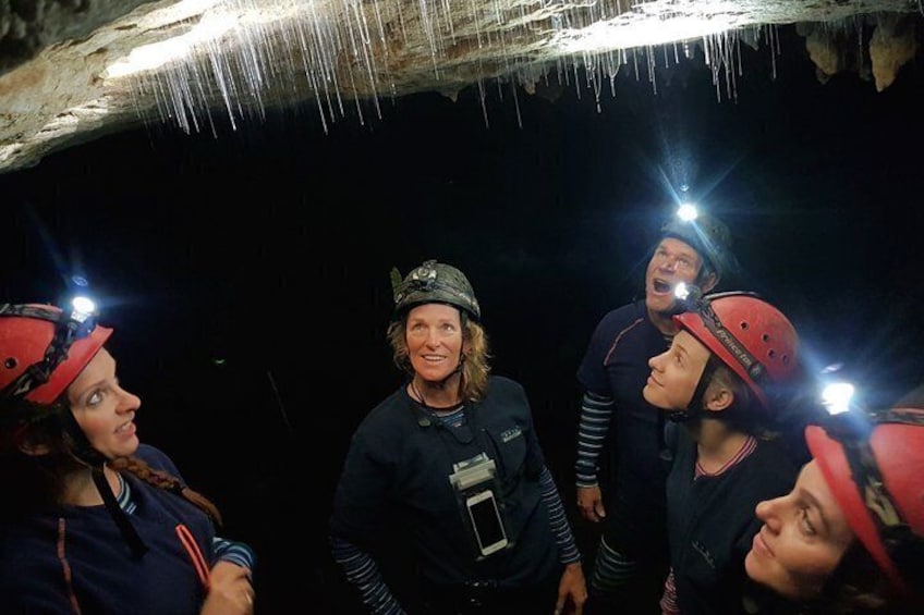 Waitomo’s Hidden Gem: Off the Beaten Track Glowworm Cave Tour 2