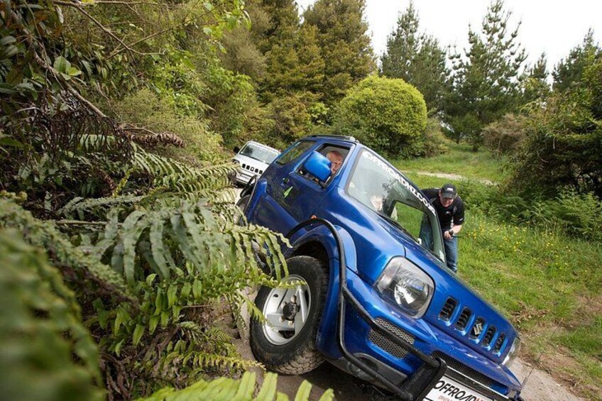 Rotorua 4WD Bush Safari Tour 2