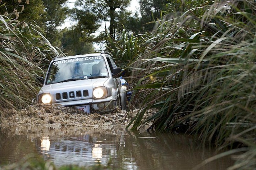4WD Bush Safari at Off Road NZ 4