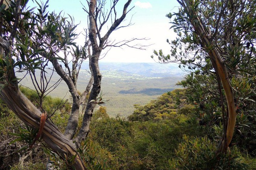 A landscape with a view of a valley, surrounded by trees and vegetation. 5