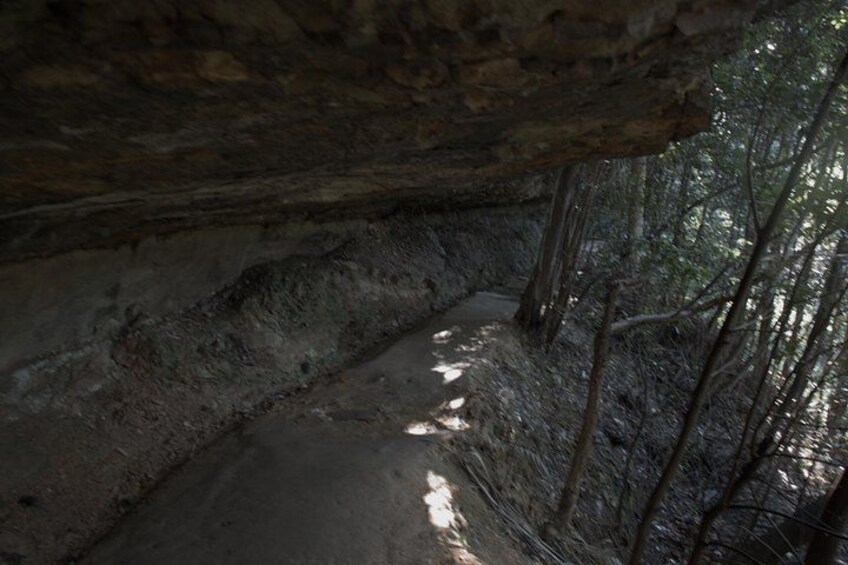 Blue Mountains Small-Group Insider Tour from Sydney 5