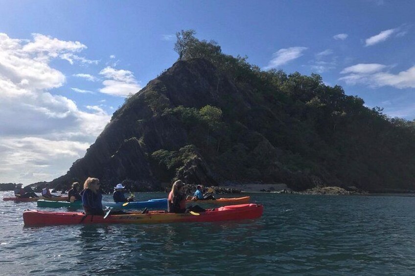 Kayak Turtle Tour from Palm Cove 2