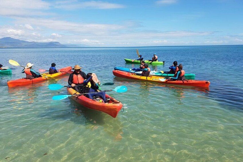 Kayak Turtle Tour from Palm Cove 3