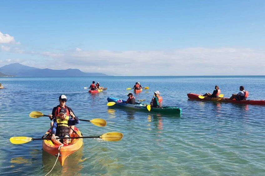 Kayak Turtle Tour from Palm Cove 4