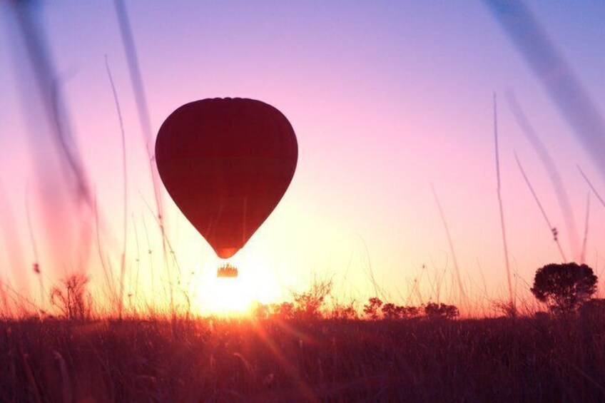 Early Morning Ballooning in Alice Springs 5