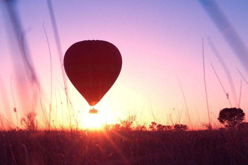Een luchtballon bij zonsondergang, met een silhouet van een boom en gras op de voorgrond. 2