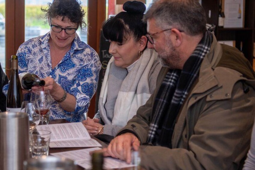 Afternoon Marlborough Region Winery Tour inc 4 Wineries 4