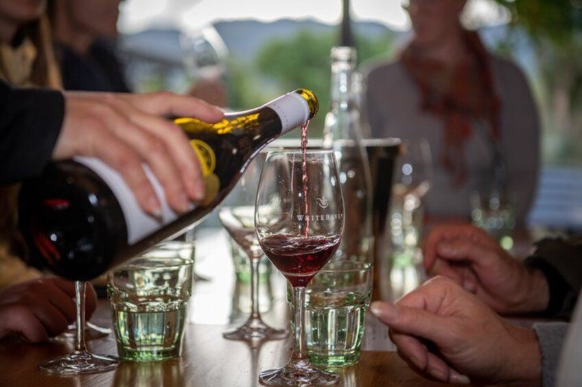 Afternoon Marlborough Region Winery Tour inc 4 Wineries 2
