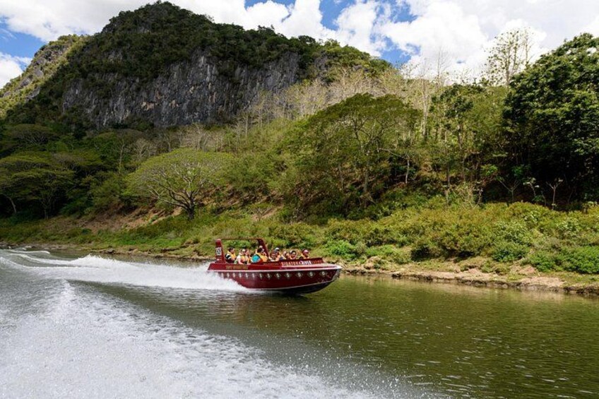 Jet Boat Safari on the Sigatoka River 1