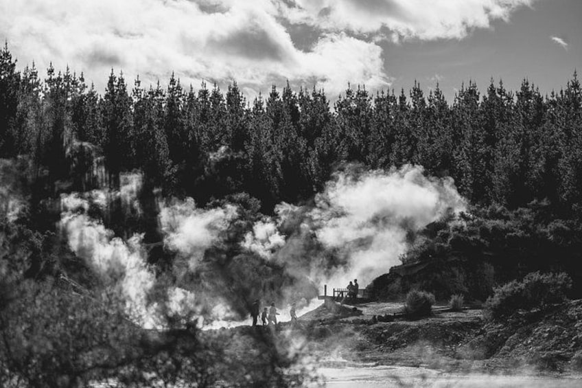 Hell's Gate Geothermal Walk 4