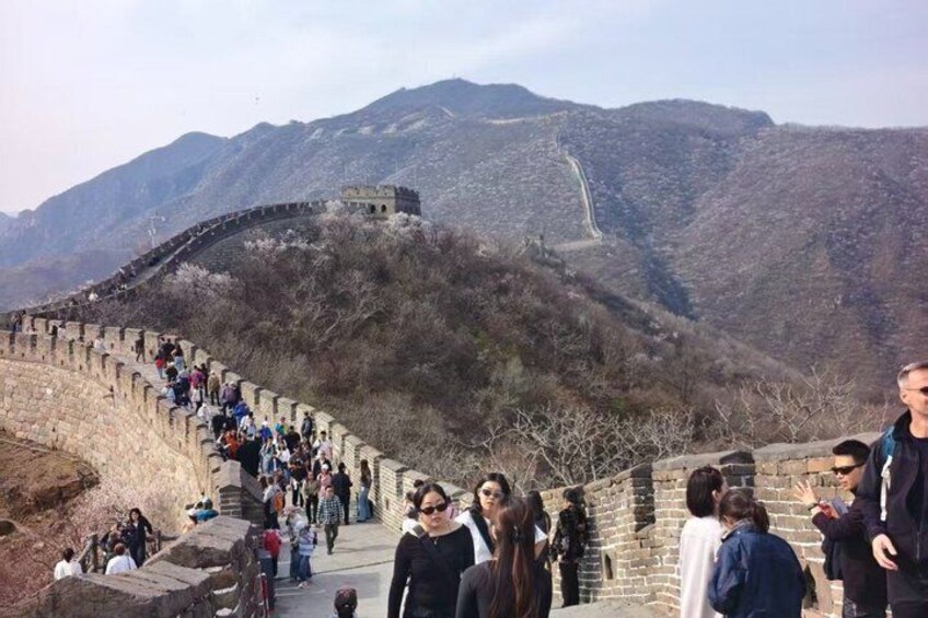 Private Mutianyu Great Wall Tour with English Driver &HotelPickup 2