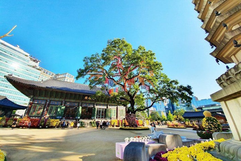 Jogyesa Temple 4