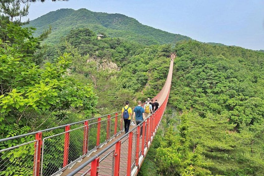 Small-Group DMZ Tour w/ North Korea Experience Hall & Susp.Bridge 4