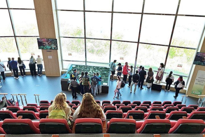 DMZ Tour w/ North Korea Experience Hall & Opt. Suspension Bridge 2