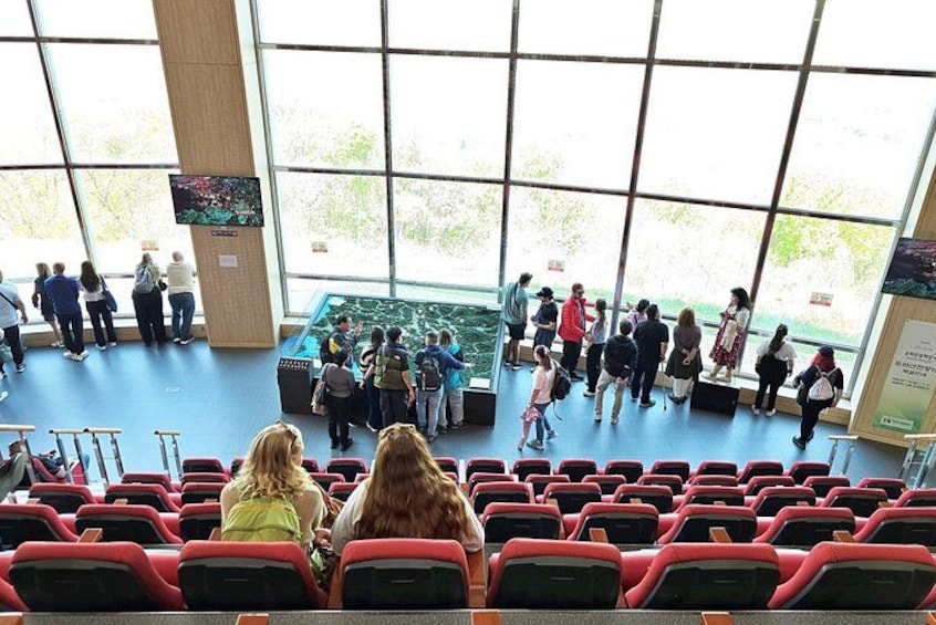 DMZ Tour w/ North Korea Experience Hall & Opt. Suspension Bridge 2