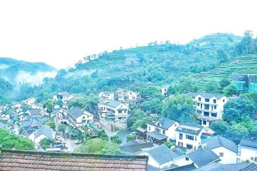 Half-Day Hangzhou Yunxi Bamboo Forest and Tea Plantation Experience 3
