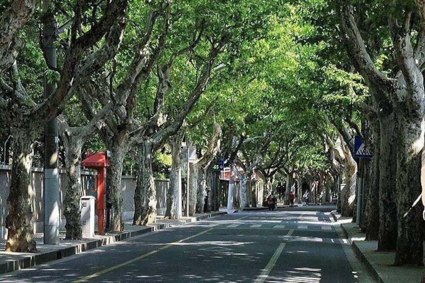 A tree-lined street with a sidewalk, street lamps, and a red structure. 2