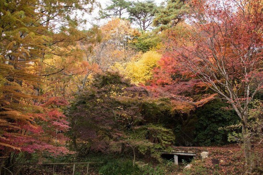 Private Car Day Trip to the Kobe Mountains, Gardens and Hot Springs from Osaka