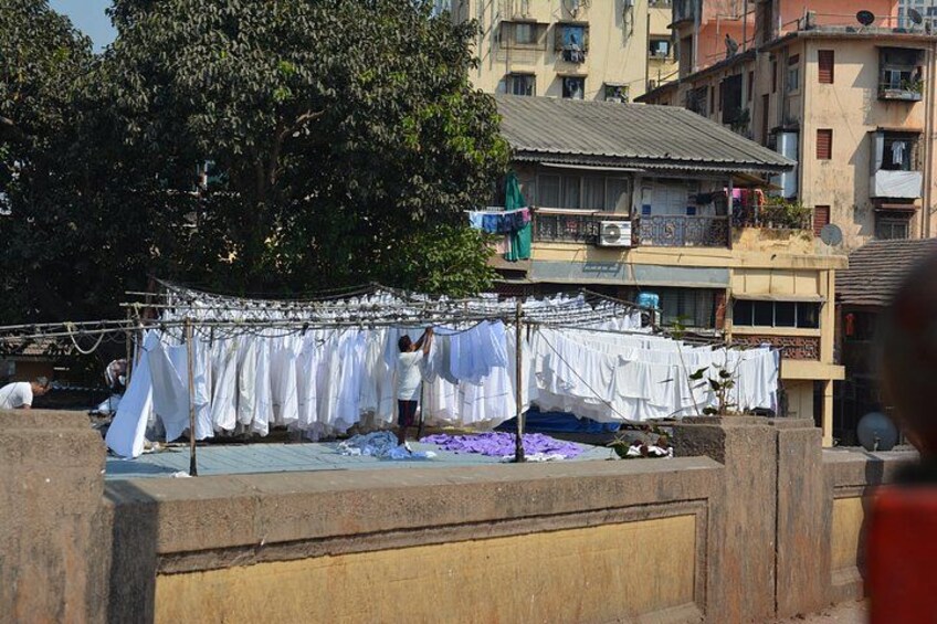 A clothesline with white garments hanging, a tree, and buildings in the background. 4