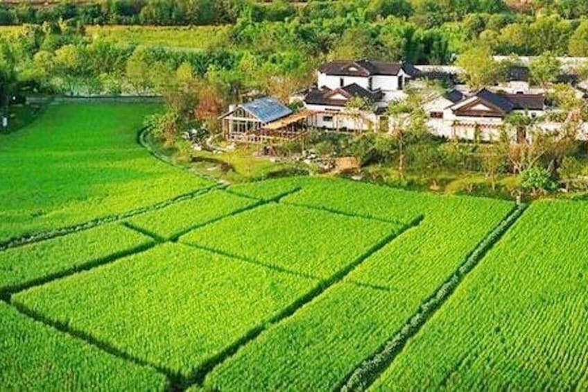 A rural landscape with green fields and traditional houses. 2