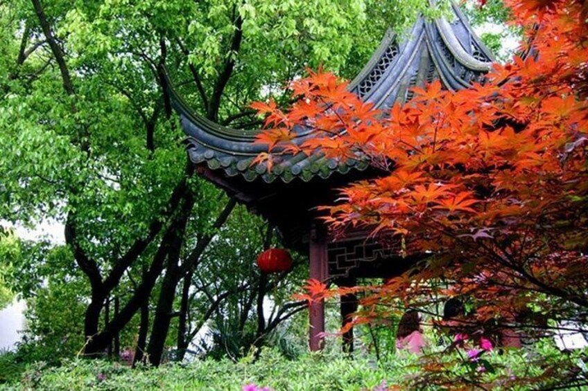 garden in Zhujiajiao 4
