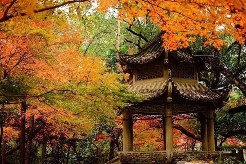4-Hour Hangzhou City Private Customized Tour with Options 3