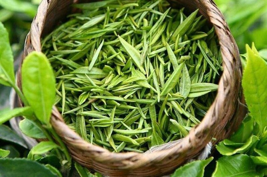 fresh green tea 5