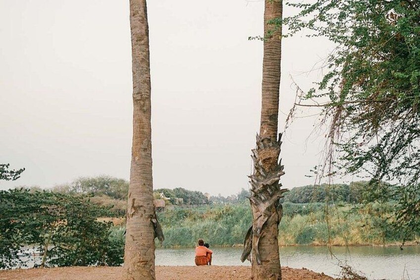 A person sitting on a sandy area near a body of water, surrounded by palm trees and greenery. 2