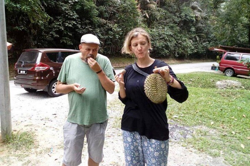 Day Trip to Cameron Highlands: Nature Escape from Kuala Lumpur 1