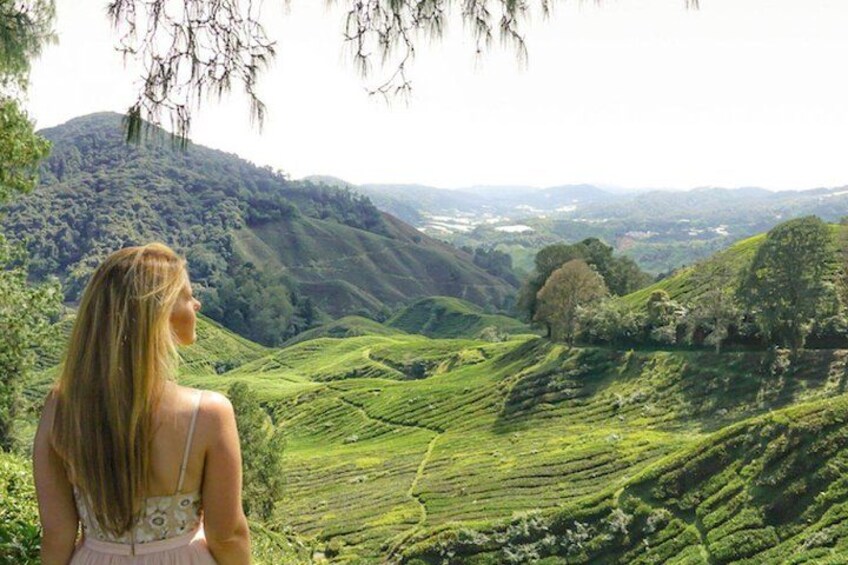 A woman standing on a hill overlooking a lush green valley with terraced fields. 4
