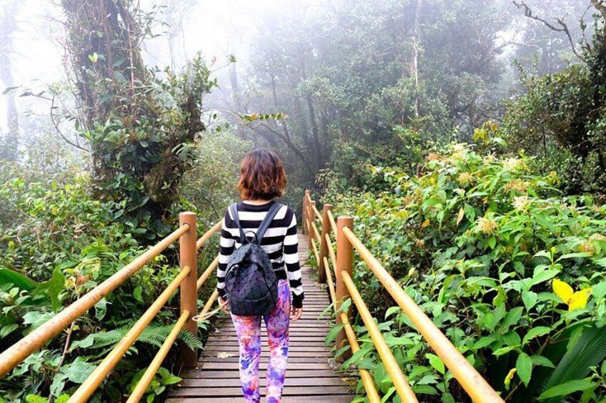 Day Trip to Cameron Highlands: Nature Escape from Kuala Lumpur 5