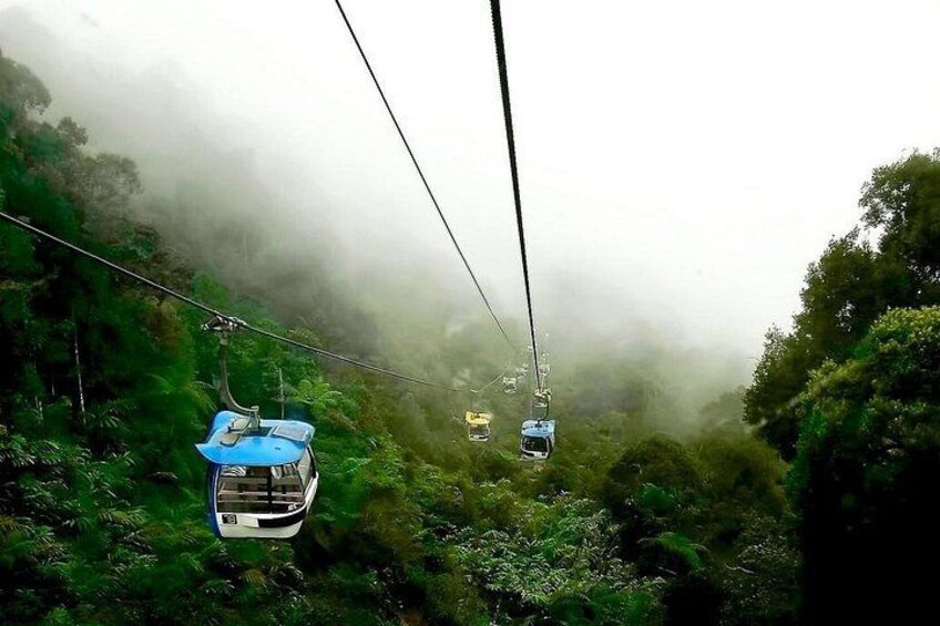 A cable car system in a forested area with mist. 3