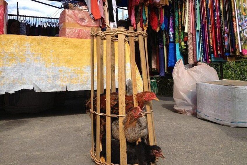 Kota Belud Sunday Market 2