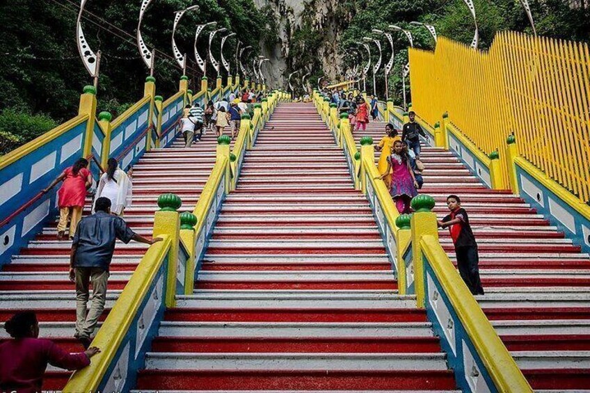 A brightly colored staircase with railings, surrounded by greenery. 3