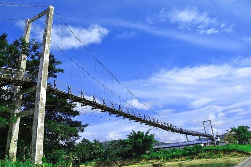 The 200-Metre-long Tamparuli Suspension Bridge is made famous by the Kadazandusun (biggest indigenous tribe of Sabah) folk song “Jambatan Tamparuli” (jambatan means bridge) written by Justin Lusah 3