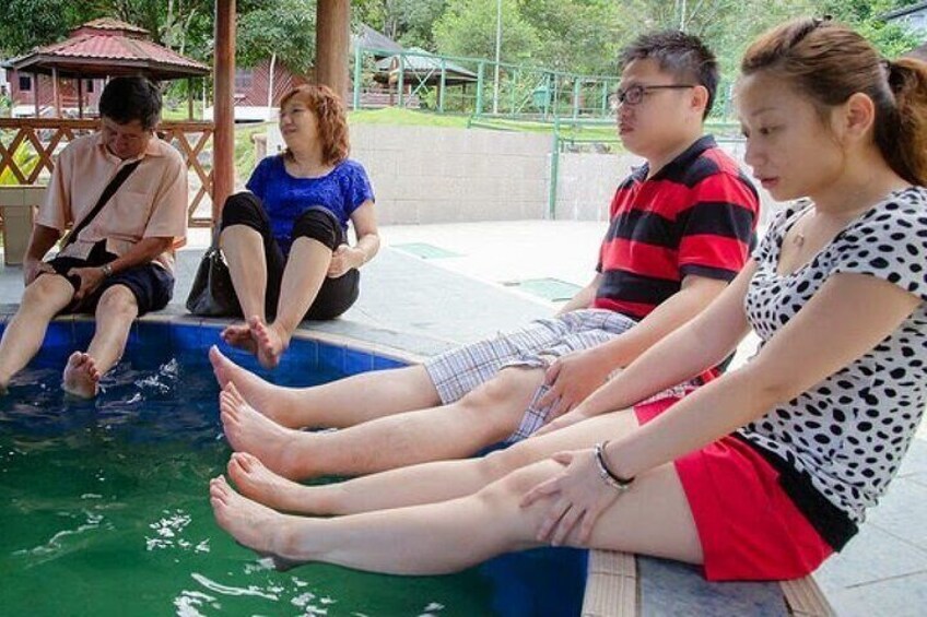 Let yourself soak in the soothing, sulfur water of Poring Hot Spring during the tour 4
