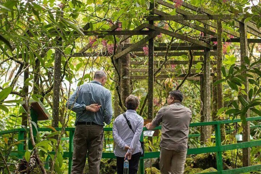 Your tour guide will share insightful trivia about the park as well as take you to some of its most scenic spots of Kinabalu Park 5