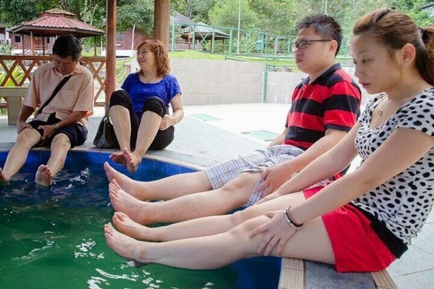Let yourself soak in the soothing, sulfur water of Poring Hot Spring during the tour 4