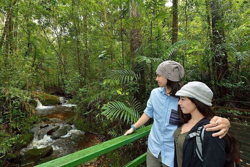 The park is Malaysia’s first ever UNESCO World Heritage Site and is home to a variety of exotic flora and fauna 3