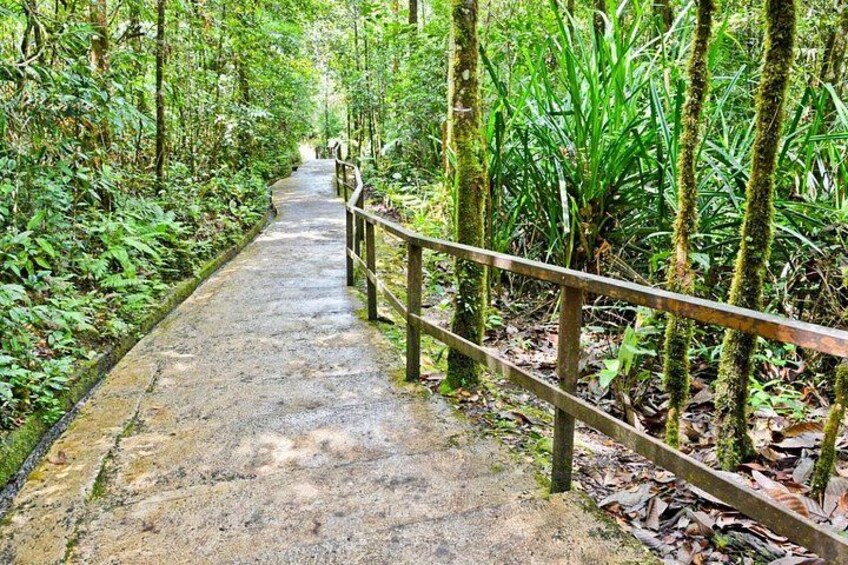 Kinabalu Park & Poring Hot Springs Tour with Desa Dairy Farm 2
