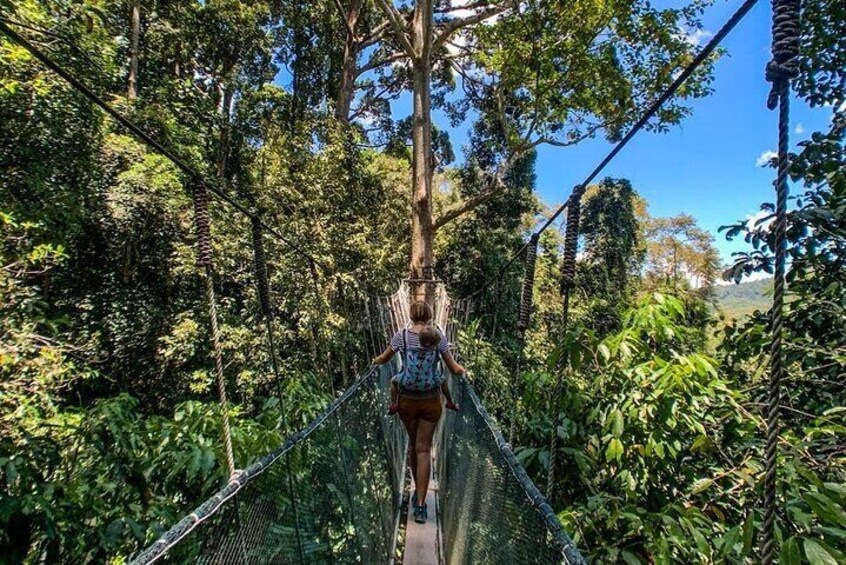 Take a break from the hustle and bustle of Sabah’s cities and embark on an exciting Malaysian nature escape at Kinabalu Park! 5