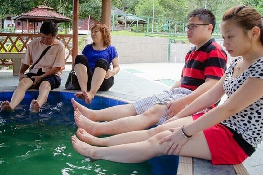 People sitting by a pool with a gazebo in the background. 5