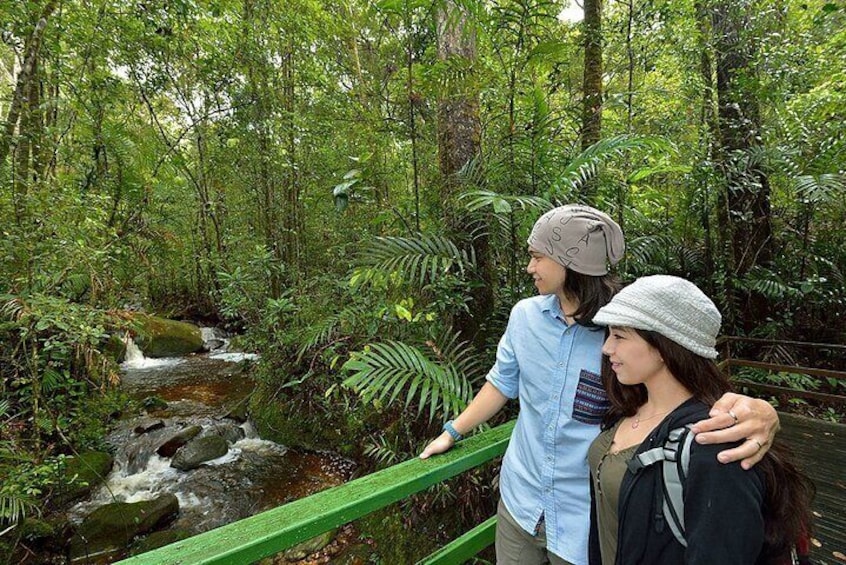 Two people standing on a green bridge over a stream in a forested area. 2