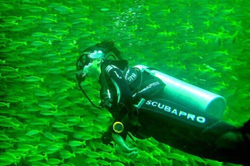 Kota Kinabalu Leisure Diving (Experienced Divers) 4