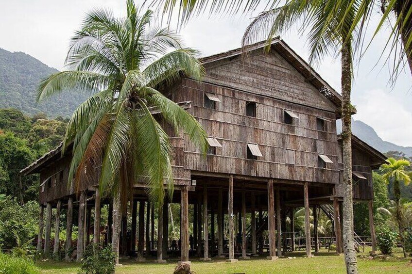 A wooden house with a thatched roof, surrounded by palm trees and lush greenery. 5