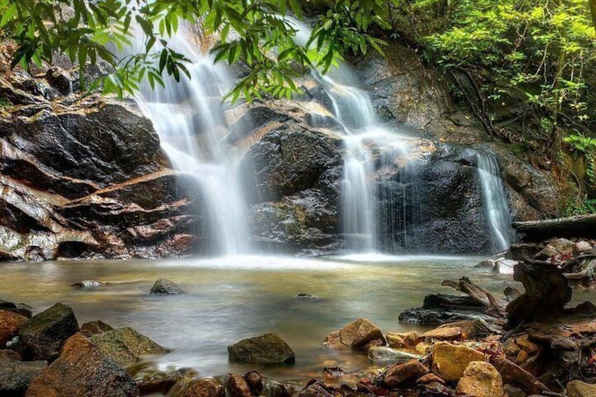 A waterfall cascading over rocks into a shallow pool surrounded by foliage. 3