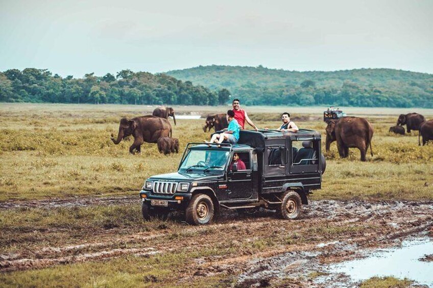 Kaudulla National Park , Jeep Safari 1